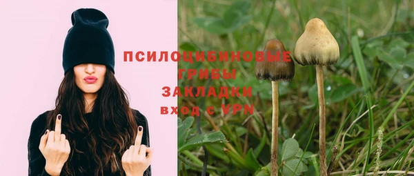 ECSTASY Вязники