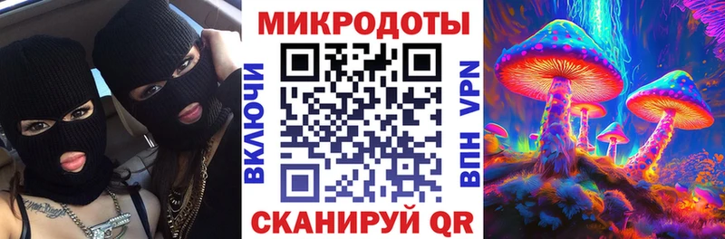 Псилоцибиновые грибы Cubensis  Меленки 